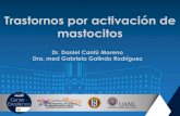Trastornos por activación de mastocitos
