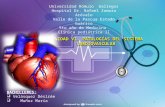 Sistema cardiovascular del corazon pediatria