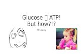 ATP Presentation