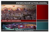 Respuesta Inmunitaria: Innata, Inflamatoria, de Fase Aguda y Adaptativa