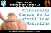 Principales Causas de la Infertilidad Masculina