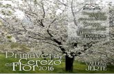 Programa cerezo-en-flor-2016-valle-del-jerte
