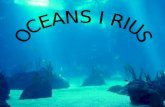 Oceans i rius