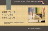 Curriculum y Diseño Curricular (Conceptualizacion)