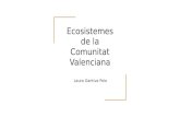 Ecosistemes de la comunitat valenciana