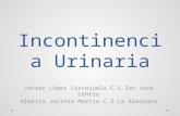 (03.10.2016) Incontinencia urinaria (PPT)