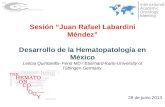 Sesión Dr. Juan Rafael Labardini Méndez