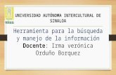 Universidad autónoma intercultural de sinaloa