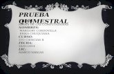 Erika chuquiana PRUEBA QUIMESTRAL