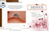 Dengue   medicina tropical