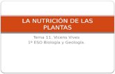 La nutrición de las plantas. t. 11