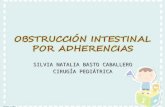 09. obstrucción intestinal por adherencias