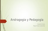 Andragogia y pedagogía