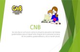 CNB (Curriculum Nacional Base)