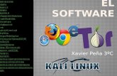 Software (Sistemas Operativos)