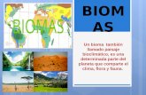 P.s biomas