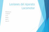 Lesiones del aparato locomotor(modificado) (6)
