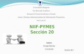 NIIF para PYMES:  Sección 20
