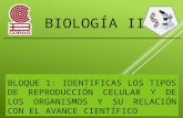 Estructuras químicas y biológicas involucradas en la reproducción celular