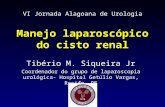 Manejo laparoscópico do cisto renal