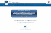 "El enfoque de una Acción de Investigación e Innovación", por José Pérez Arévalo - Universidad de Córdoba.