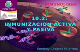 Inmunizacion activa y pasiva