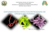 Clase 10 enfermedades_infectocontagiosas_de_origen_bacteriano