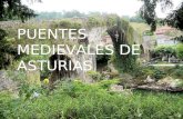 Puentes medievales de asturias