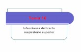 (Microsoft PowerPoint - Tema 18. Tracto respiratorio superior \(2012 ...