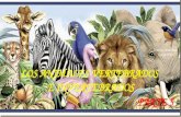 Animales vertebrados e invertebrados -  Parte 5