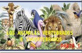 Animales vertebrados e invertebrados -  Parte 1