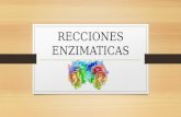 Recciones enzimaticas