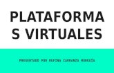 Presentacion plataformas virtuales