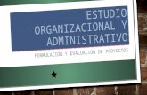 Estudio organizacional y administrativo