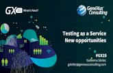 Testing as a Service: Nuevas oportunidades - Guillermo Skrilec