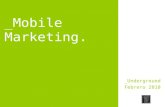 Mobile Marketing 100210