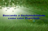 Sustentabilidade como valor espiritual