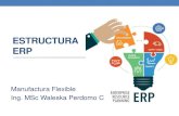 Estructura ERP c lase 3
