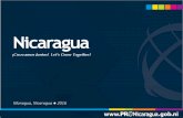 Pro-Nicaragua Country Overview 2016