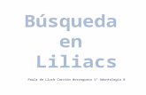 Tarea 2- Bsqueda Liliacs
