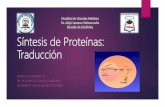 Síntesis de proteínas, proceso de iniciación y Generalidades, Dr. Angel Herraez
