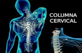 traumatologia columna vertebral