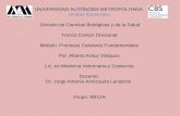 Tema 42 Enzimología de la replicación del ADN, estructura y función de topoisomerasas, helicasas, ARN y DNA polimerasas