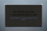 Actividad de laboratorio #6