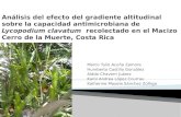 Análisis del efecto del gradiente altitudinal sobre la capacidad antimicrobiana de Lycopodium clavatum  recolectado en el Macizo Cerro de la Muerte, Costa Rica