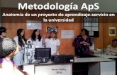 Metodologia ApS Universidad 2016