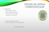 Cirugía del sistema cardiovascular