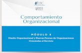 Diseño Organizacional y nuevas formas de Organizacions Orientadas al Servicio