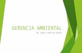 Gerencia ambiental(clase 3 y 4)