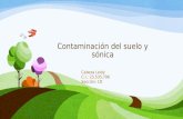 Contaminación del suelo y sónica